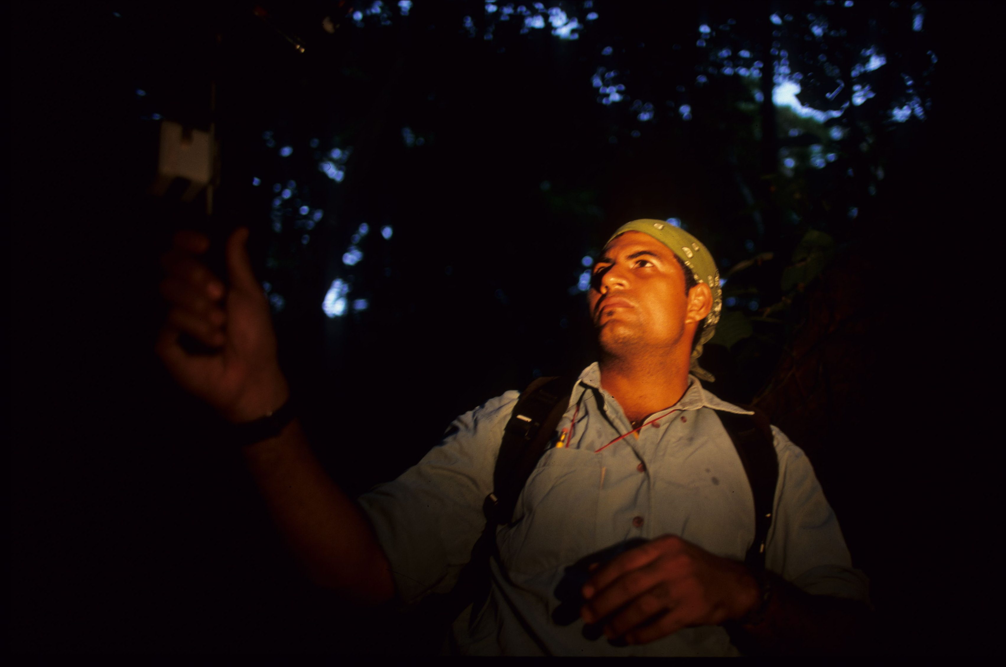 Ricardo tracked Bobby using VHF collars, requiring hours of walking through the forests of Barro Colorado at night  (Photo: Chrisitian Ziegler)